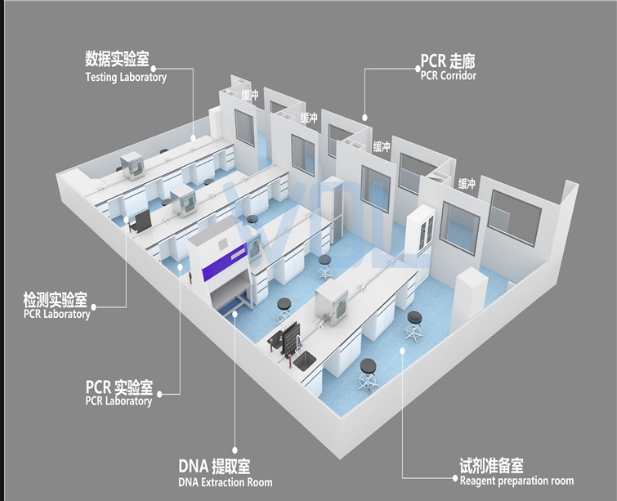 pcr實驗室建設多少錢?